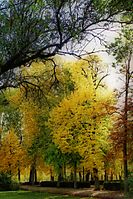 Jardines_Casa_del_Labrador_0320001_fhdr_1024x768_.jpg