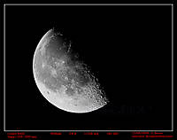 Luna-_002_1.jpg