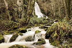 MG_07082.jpg