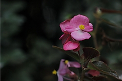 MG_0917_1280x768_.JPG