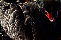 MG_11851.jpg