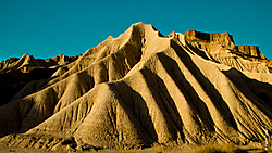 MG_1312.jpg