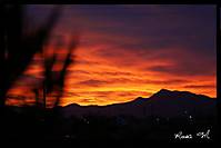 MG_17721.jpg