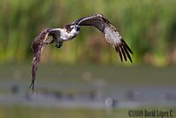 MG_22761.jpg