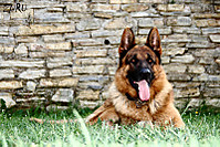 MG_25521.jpg
