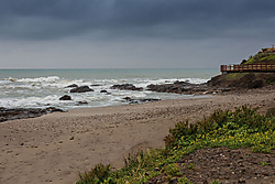 MG_2555.jpg