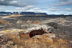 MG_3664.jpg