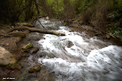 MG_4211_3045_copia.jpg