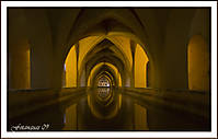 MG_5257w.jpg