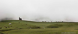 MG_7304_1.jpg