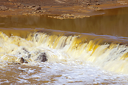 MG_7343_5993_copia.jpg