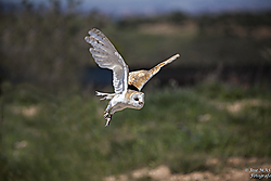 Mayo_dia_16-2018-Master_Class_Antonio_Liebana_404_bis_.jpg