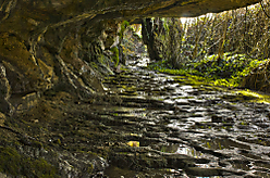 Reflejos61.jpg