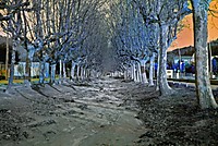 Riera_de_Vallromanes_BARCELONA.jpg
