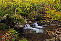 Sierra_Cebollera_c23-6_Octubre_2020-58.jpg