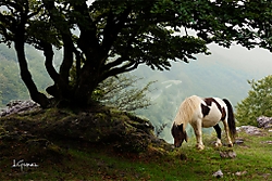 SierradeUrbasaG.jpg