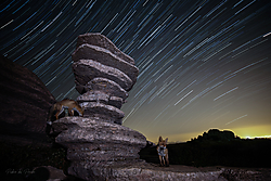 Startrails4.jpg