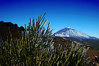 Teide4.jpg
