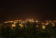 Viella_nocturna.jpg