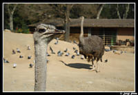 Zoo_14-03-09_016.jpg