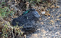 albar_060_3.jpg