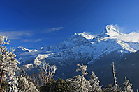annapurnas-nepal.jpg