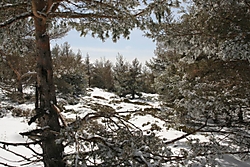 at_IMG_9288.JPG