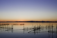 beso_en_la_albufera_simetrico_1_de_1_2.jpg