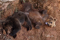 cabarceno_12_07_18_48_.JPG