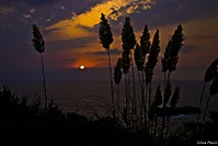 contraluz_I_800x600_.jpg