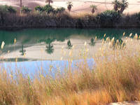 llac-desert-libia.jpg