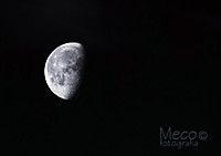 luna60.jpg