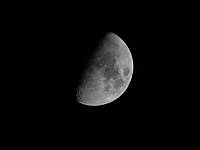 luna_800.jpg