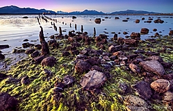 Puerto Natales natales.jpg