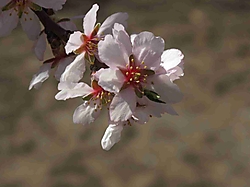 parque_los_Molinos_046r.jpg