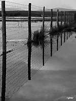 reflejos_1.jpg
