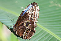 rgw_20080720_0037_PEQ.jpg