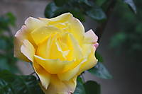 ro0008.JPG