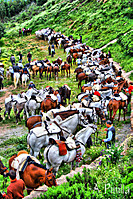 romeria_de_la_Virgen_de_la_Pe_a.jpg