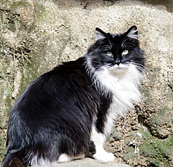 san_vincent2_162.JPG