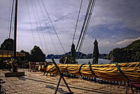 vieet_207b.jpg