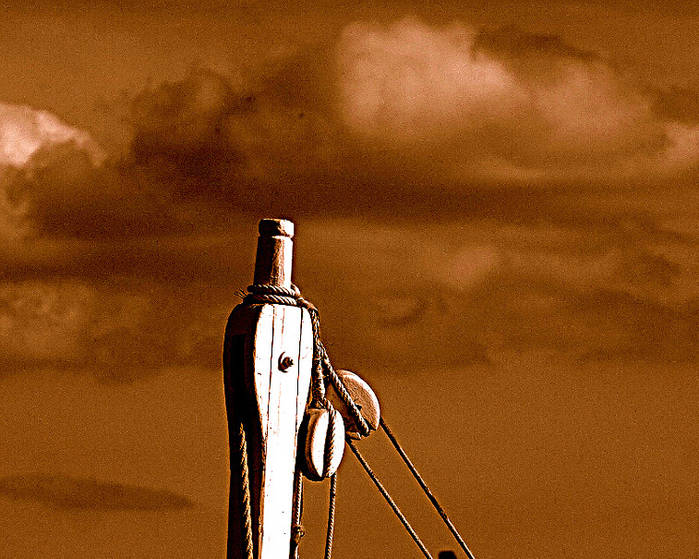 poleas de vela latina