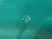 Gota16.jpg