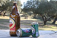 IMG_00259.JPG