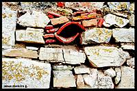 IMG_2057.JPG