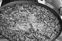 IMG_2283.jpg