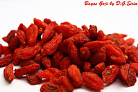 goji1.jpg