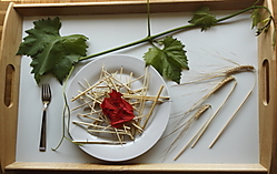 pan_vino_y_pasta_con_tomate.JPG