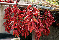 pimientos_rojos1.jpg