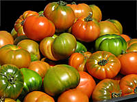 tomates31.jpg